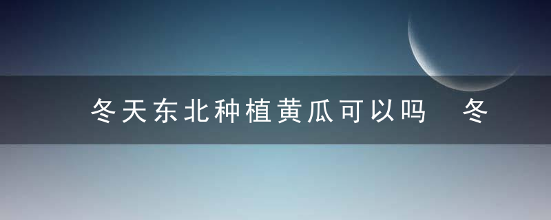 冬天东北种植黄瓜可以吗 冬天东北种植黄瓜行不行